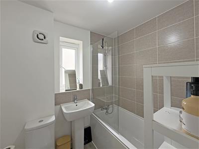 Picture 17